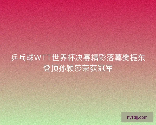乒乓球WTT世界杯决赛精彩落幕樊振东登顶孙颖莎荣获冠军
