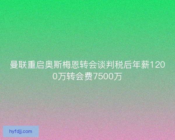 曼联重启奥斯梅恩转会谈判税后年薪1200万转会费7500万