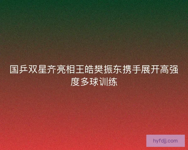 国乒双星齐亮相王皓樊振东携手展开高强度多球训练